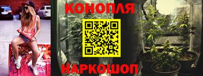 гашик Моздок