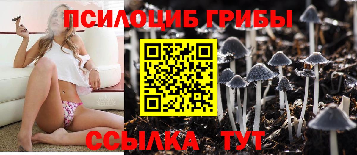 Галлюциногенные грибы Magic Shrooms  Вход с VPN  Галлюциногенные грибы ЛСД  как найти наркотики  Ессентуки 