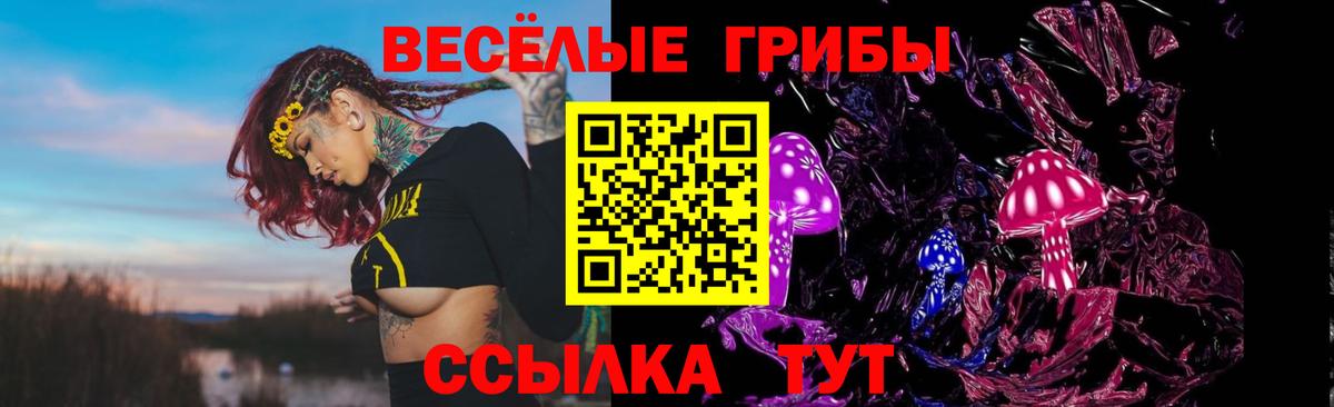 Галлюциногенные грибы ЛСД Ессентуки